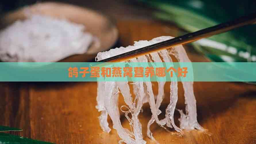 鸽子蛋和燕窝营养哪个好？全面解析两者营养价值与适用人群