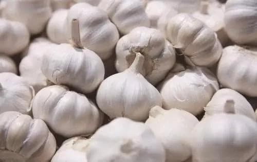 医生疑惑破解：大蒜对胃病的真实效用是什么？专家权威解读