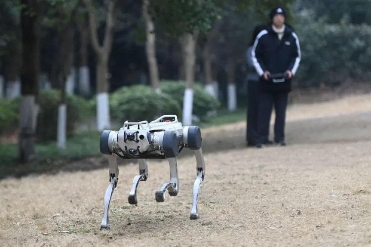 “杭州六小龙”火爆出圈的启示
