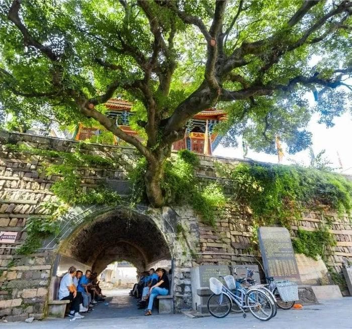 浙江7个历史文化名城、名镇、名村、街区保护规划获省政府批复