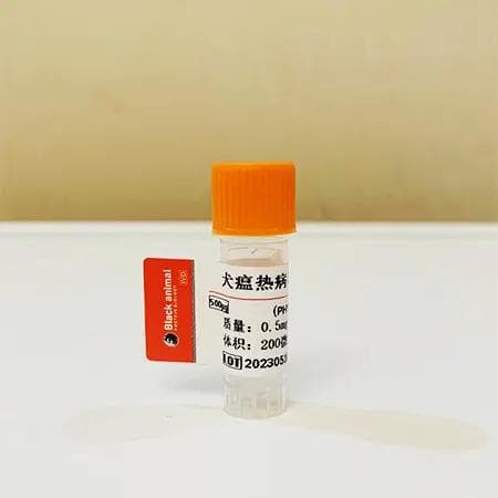 宠物检测-抗犬瘟热（CDV）单克隆抗体，犬瘟病毒检测抗体
