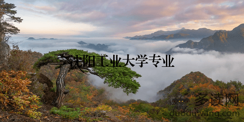 沈阳工业大学专业设置与职业前景详解