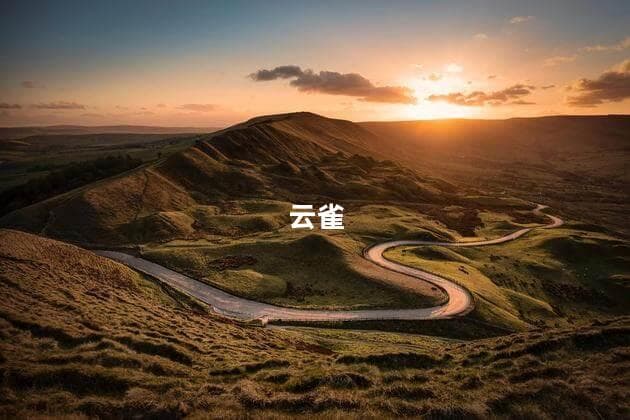 云雀的叫声在哪里可以下载？云雀的鸟叫声怎么形容
