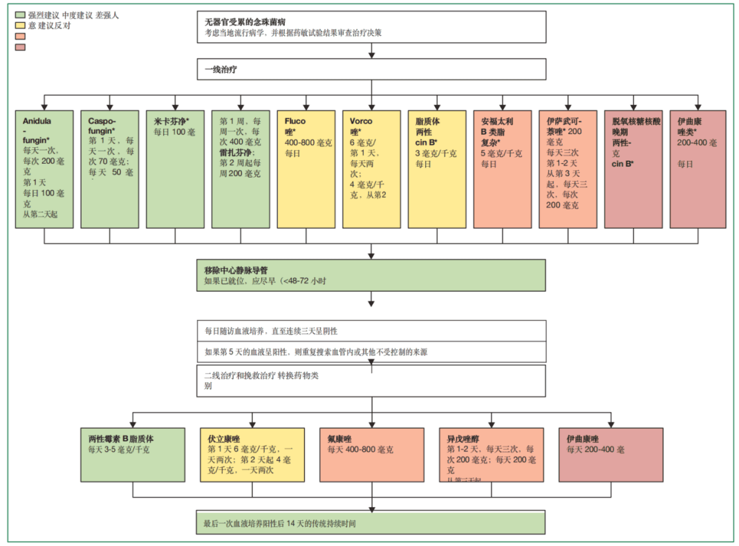 念珠菌病诊断和管理全球指南要点（2025欧洲医学真菌学联合会）