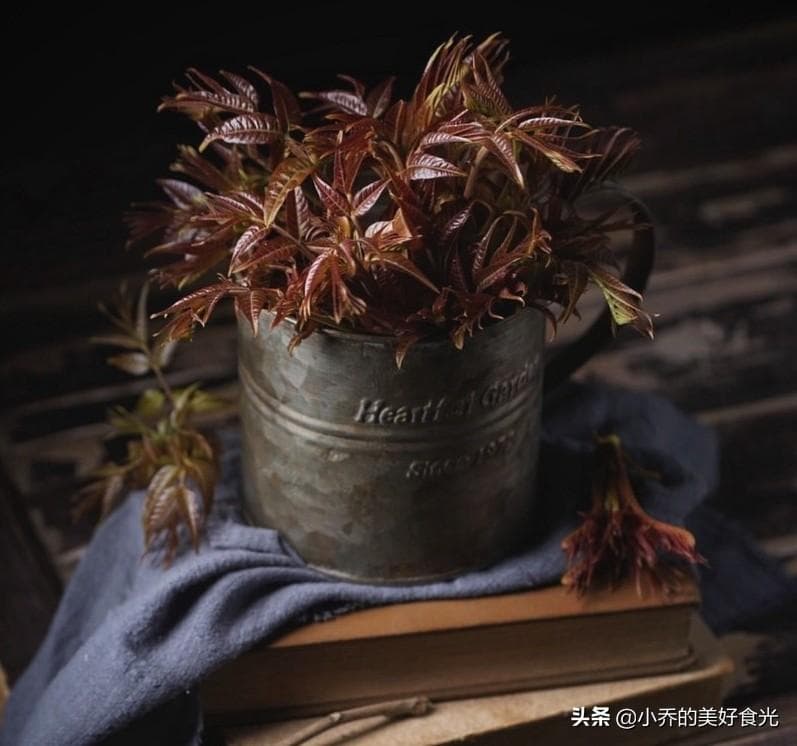 香椿的吃法大全家常（香椿的6种花样吃法）