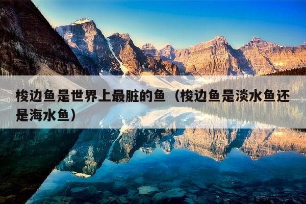 梭边鱼是世界上最脏的鱼？真相揭秘！