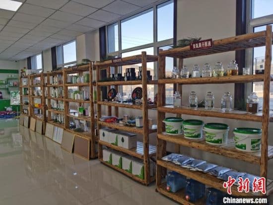 河北承德：小松针也能做成大健康产业