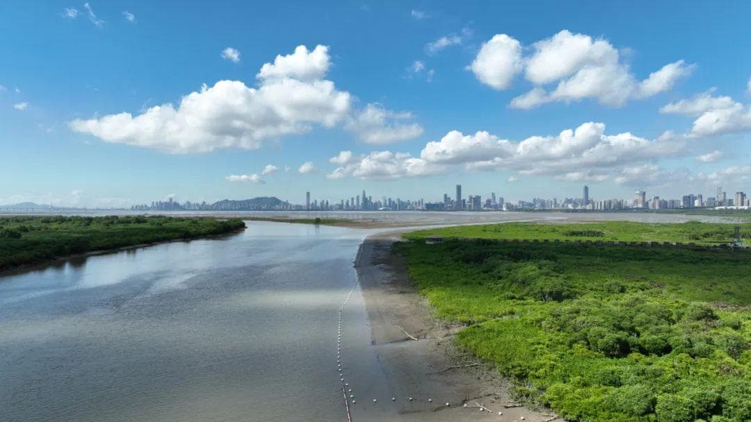 1982→2024，深港携手40余年治界河，深圳河治好了吗？