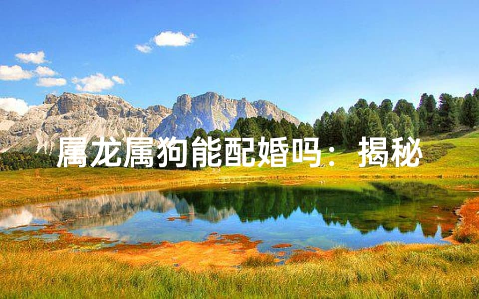 属龙属狗能配婚吗：揭秘生肖相配奥秘