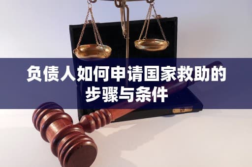 负债人如何申请国家救助的步骤与条件