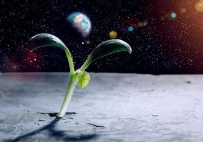 空间生物：外星生命存在的可能性有多大