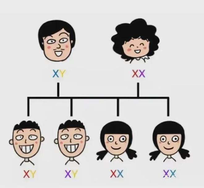 夫妻之中，谁的基因决定了孩子的智商和长相？专家的回答很统一