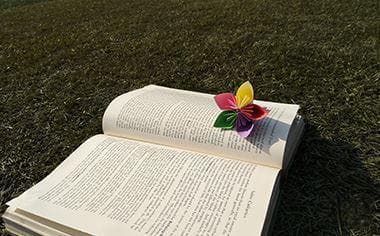 私营企业法与合伙企业法的区别有哪些