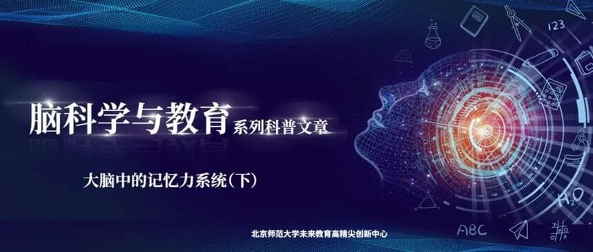 脑科学与教育蓝皮书：大脑中的记忆力系统（下）