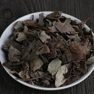 紫金牛草药的功效与应用