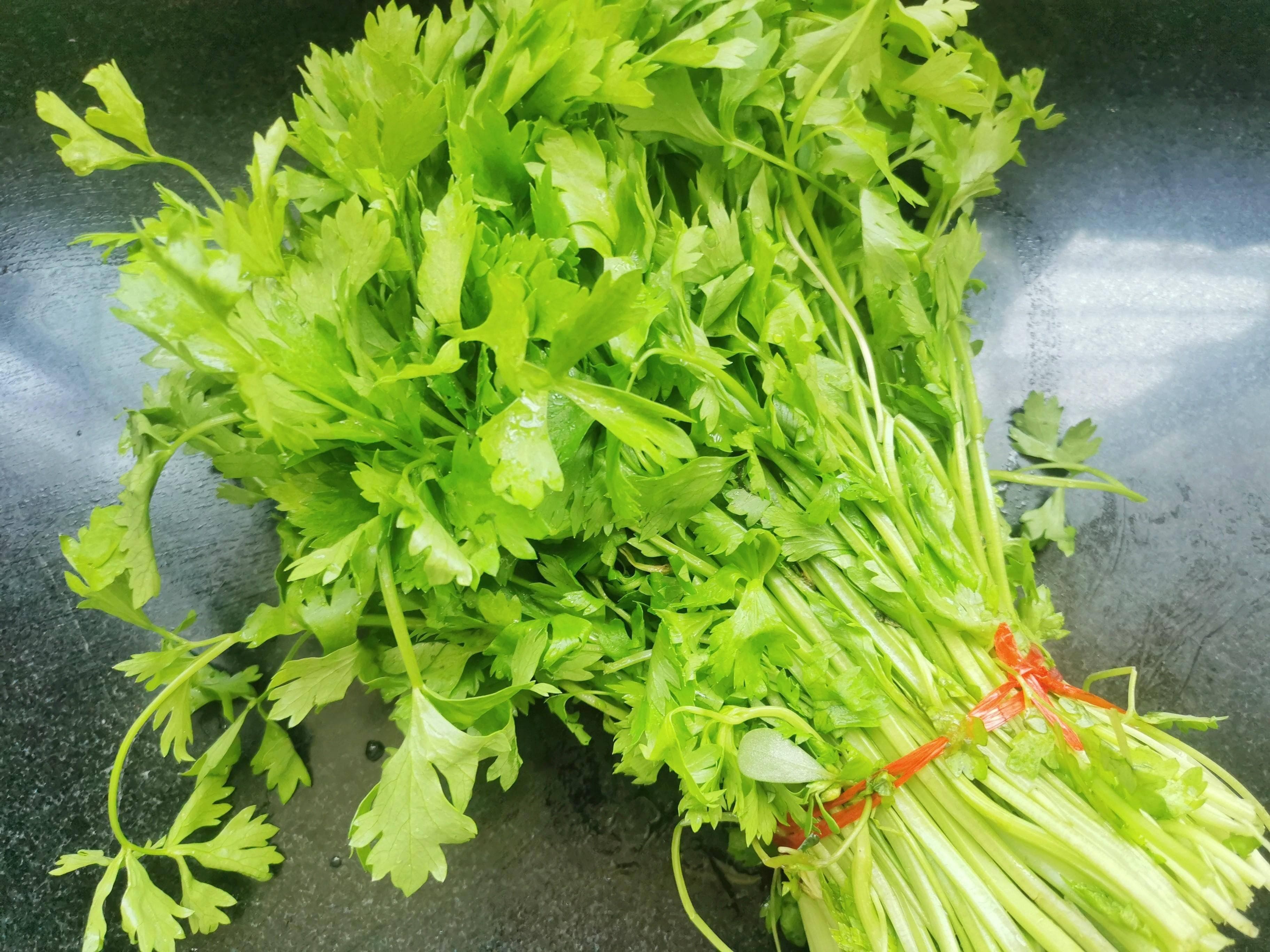 5月，芹菜苗正当季！三种美味做法，补充钾元素，增强体力
