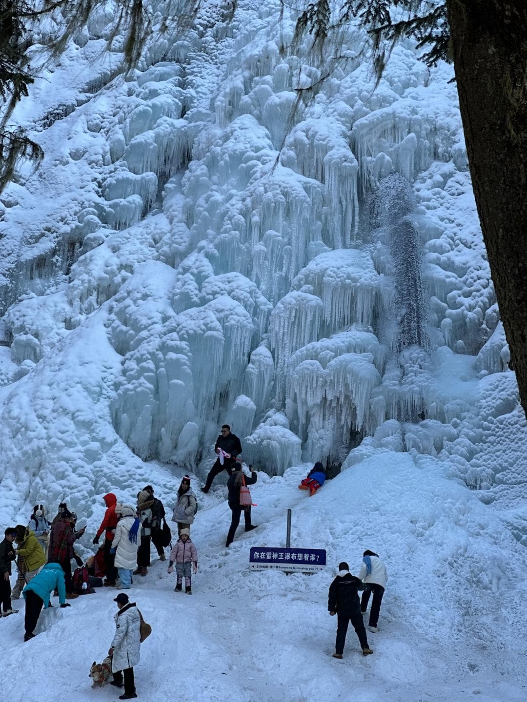 四川为什么是“南方冰雪游首选地”——冬季到四川来旅行（上）