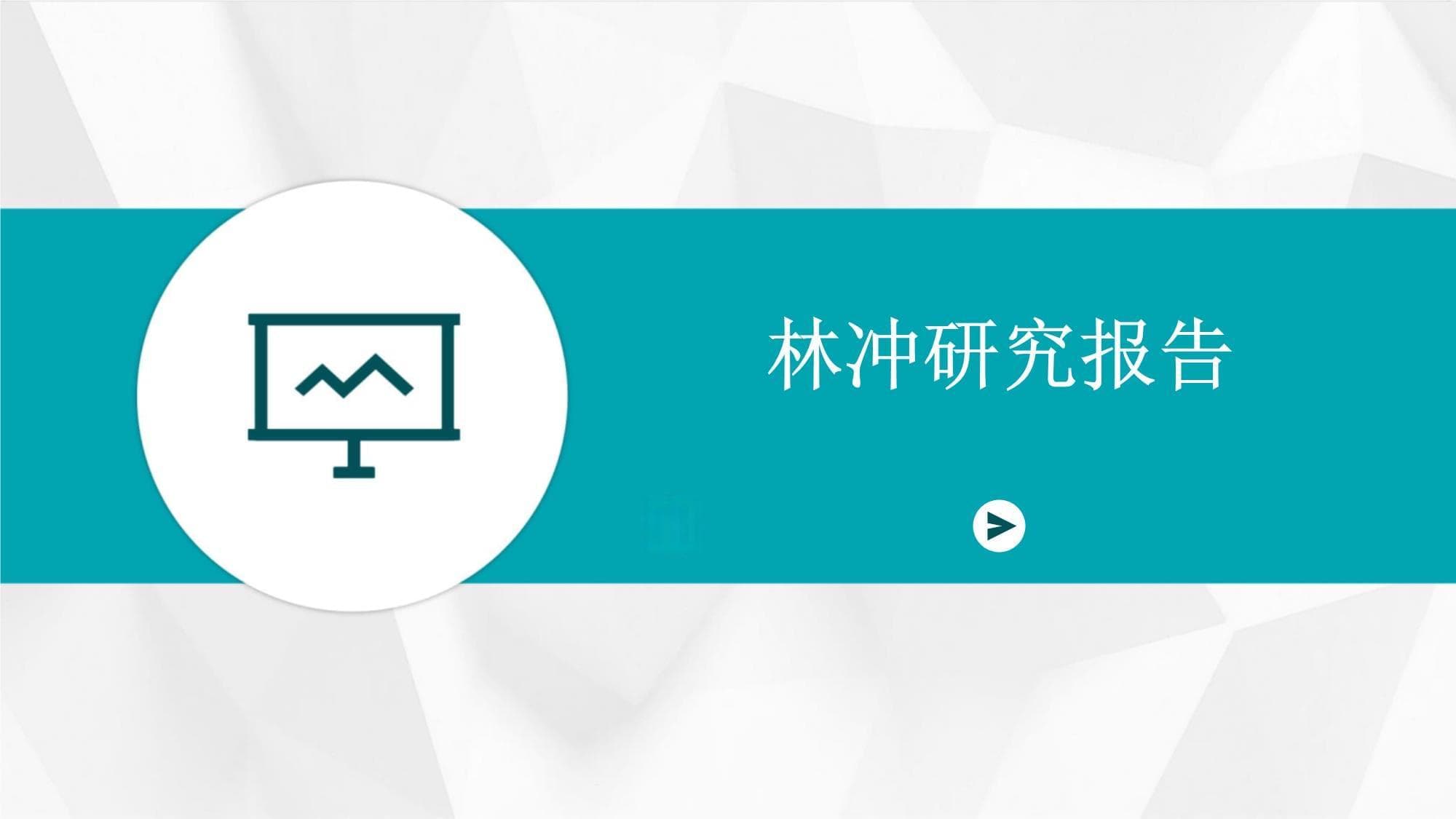 林冲研究报告
