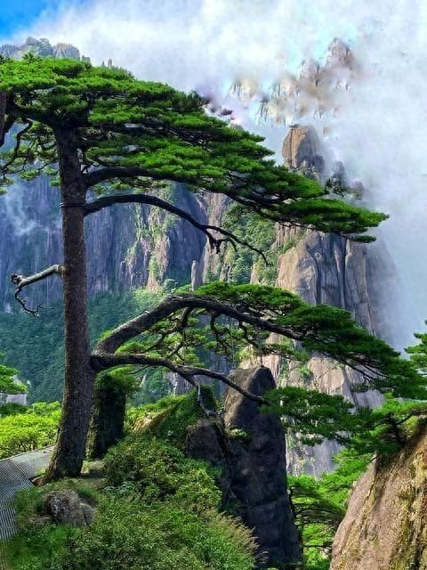 安徽十大旅游景点推荐：从黄山到徽州古城，领略皖南山水人文之美