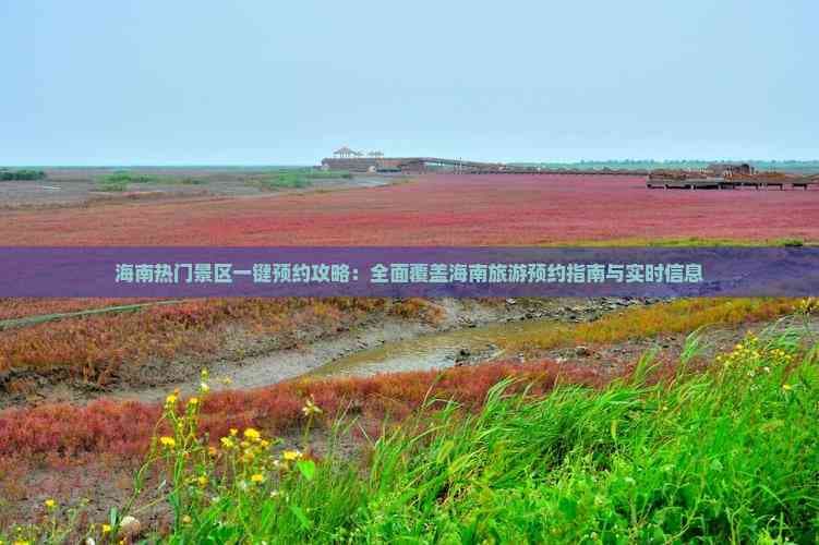 海南热门景区预约攻略：多种方式轻松搞定景区门票