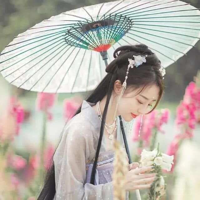 诗歌的表现手法——炼字