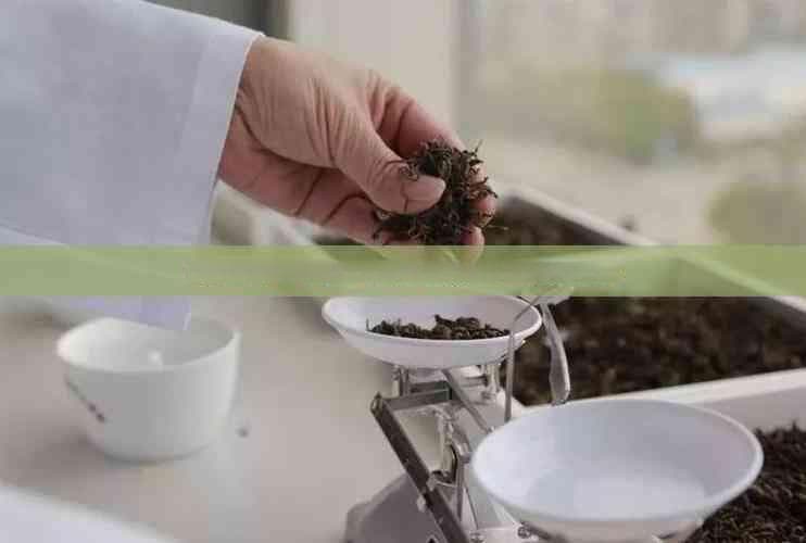 详尽指南：六道木手串的深度保养与正确清洗方法
