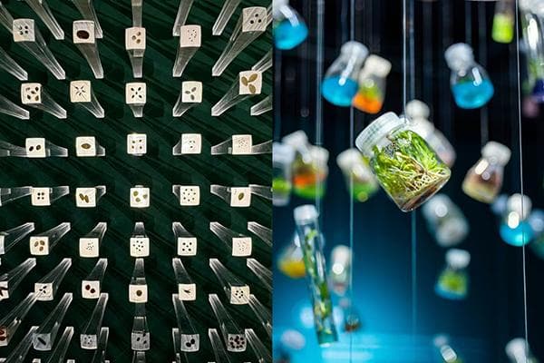 打卡我国首座野生植物种子博物馆，与生物多样性“双向奔赴”