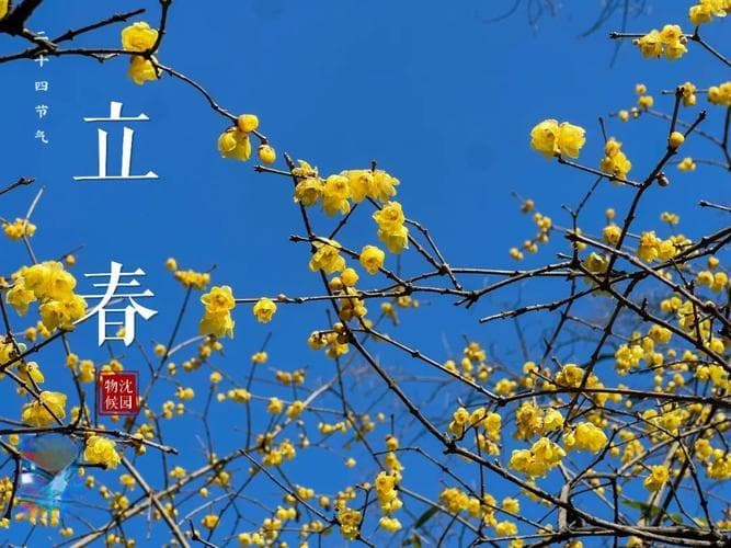 立春五行风水吉凶分析图 今天立春时间几分几秒