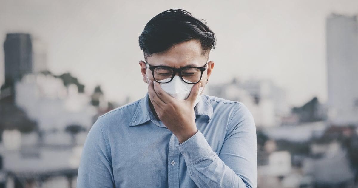 PM 2.5尘埃进一步刺激过敏反应