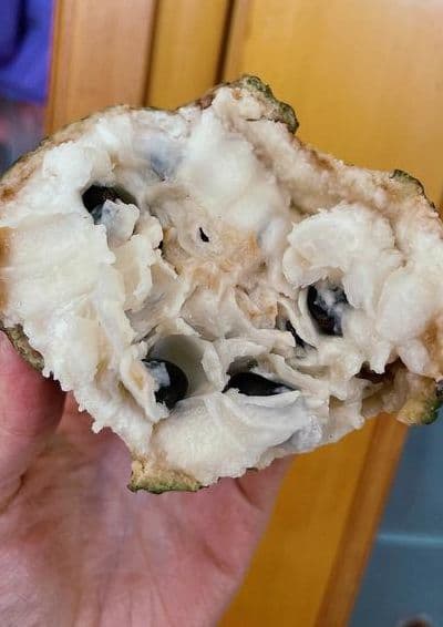 释迦果怎么吃图解（释迦果怎么吃图解法）