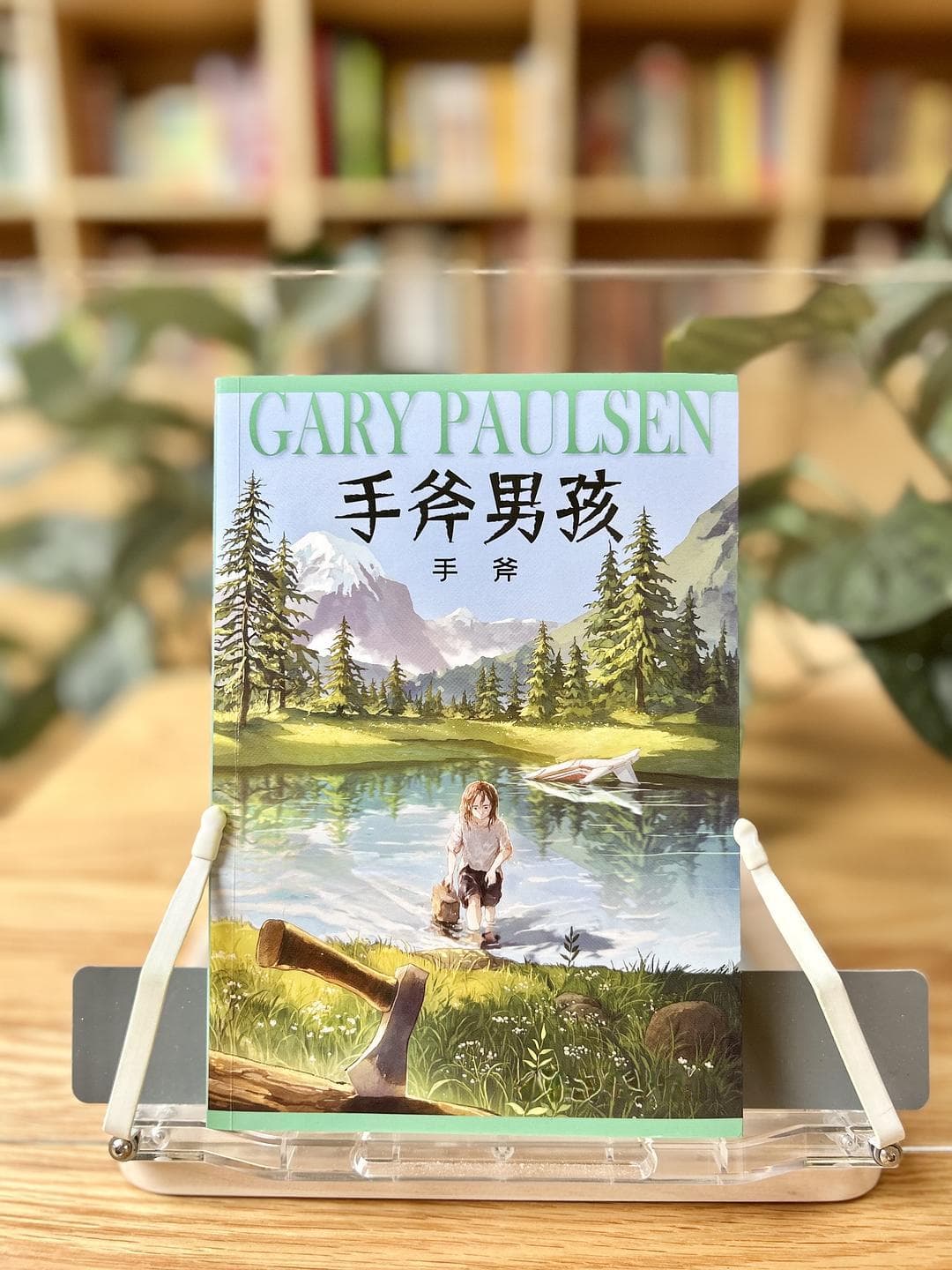 《手斧男孩》：一个少年的冒险旅程，教孩子学会勇敢和坚强