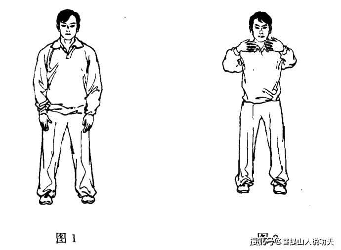站桩时不要主观的干预呼吸，自然的才能养你
