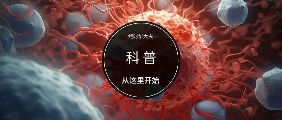孕期血常规变化：守护准妈妈与宝宝的健康