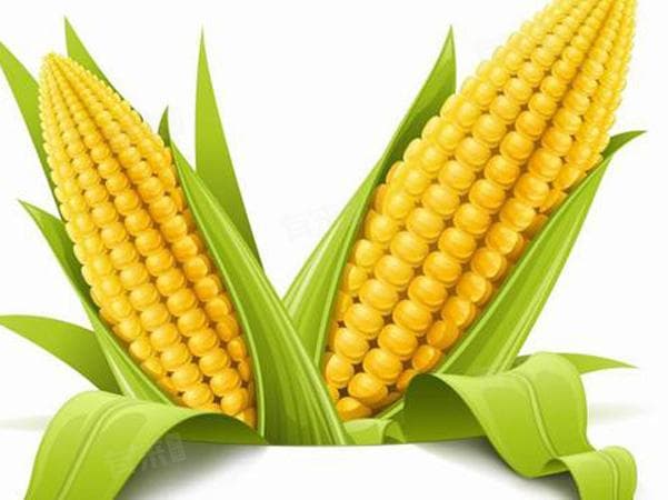 这些食物容易让人放屁，你中招了吗？