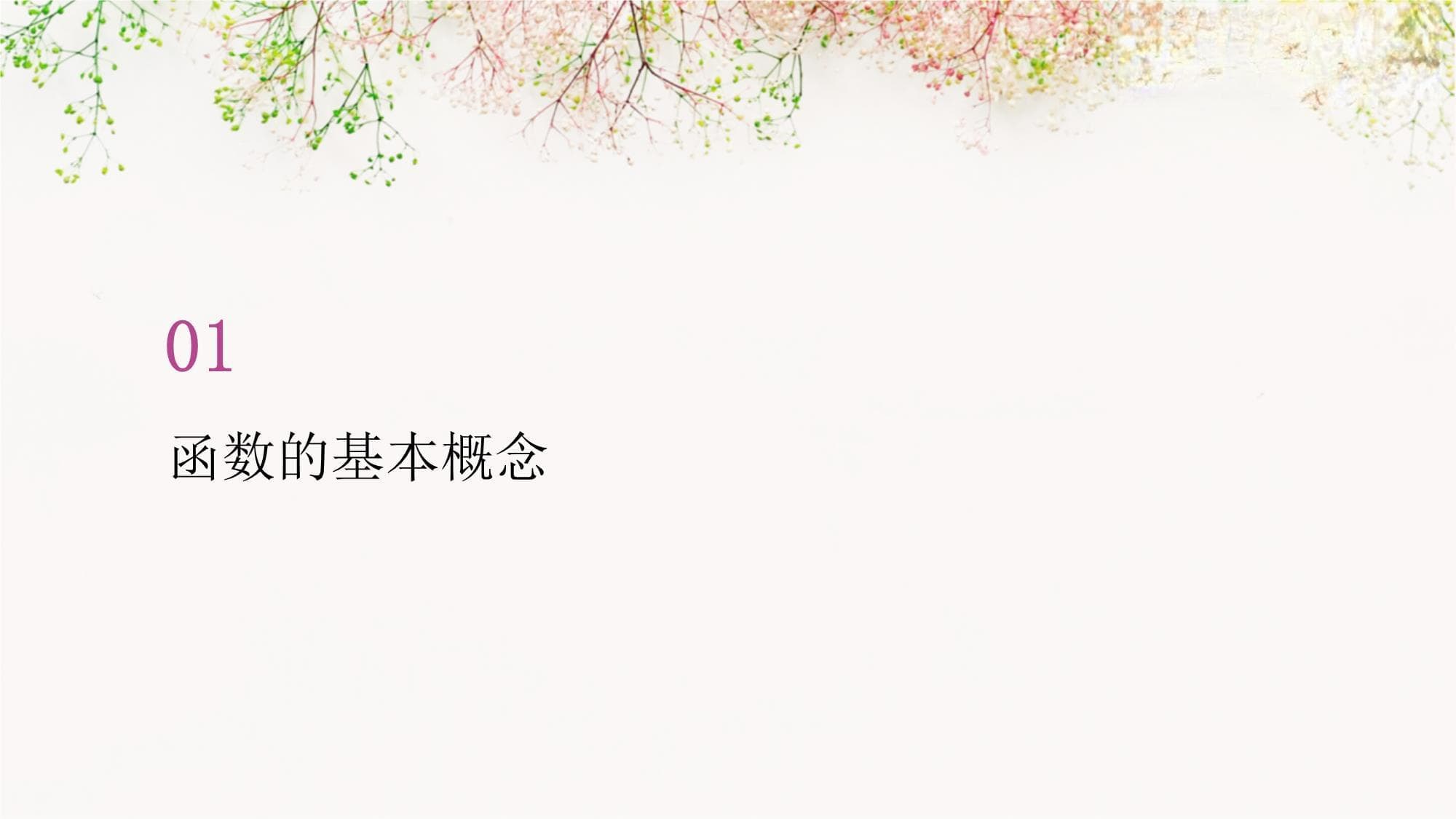 函数概念的综合应用