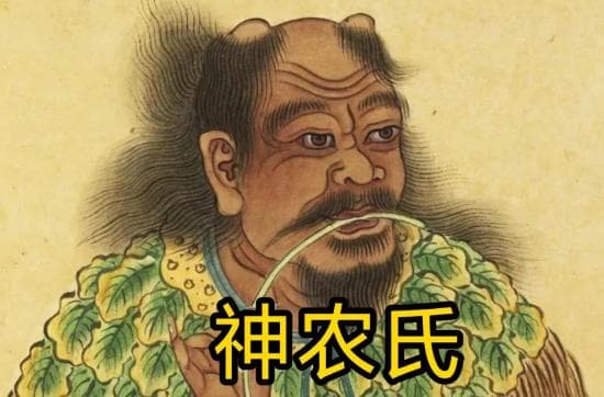 千年茶史：茶叶在中国的演变历程