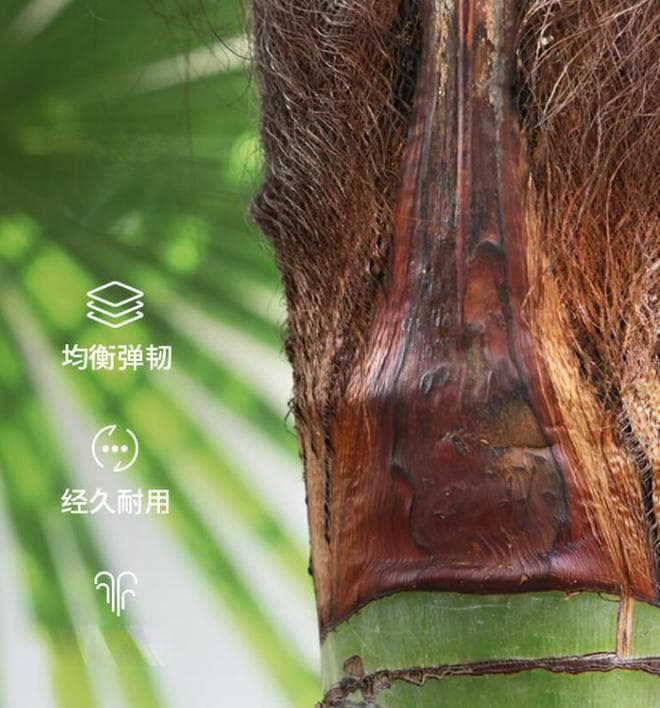 山棕床垫和椰棕床垫哪个更好？3个方面对比，结果一目了然！