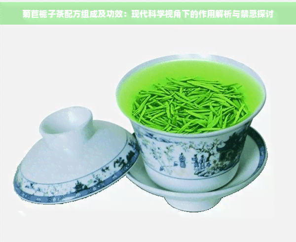 菊苣栀子茶配方组成及功效：现代科学视角下的作用解析与禁忌探讨