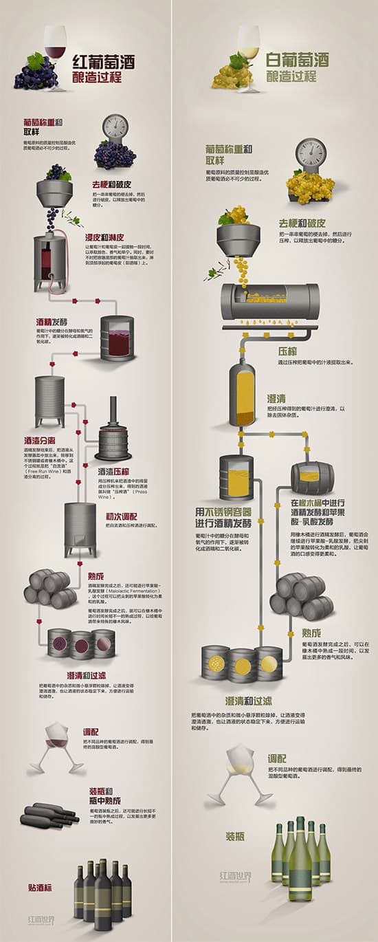 图解红/白葡萄酒酿造过程之异同