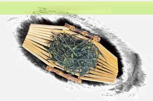 普洱茶膏的醇厚口感与独特风味探究