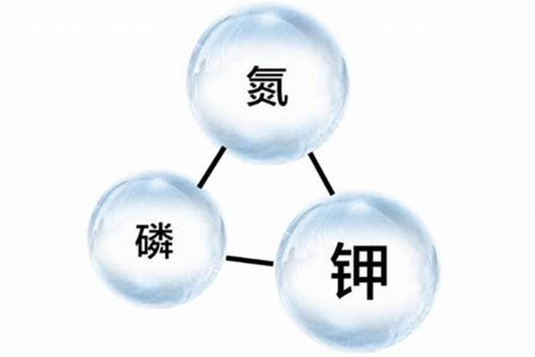 养花用多少比例的氮磷钾肥合适？