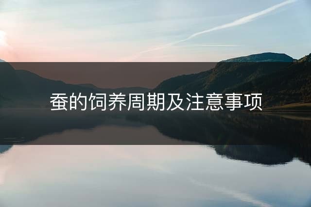 蚕的饲养周期及注意事项