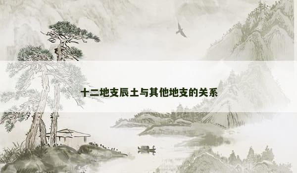 十二地支辰土与其他地支的关系