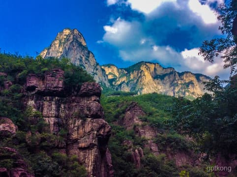 猕猴谷探险指南：自然奇观与野生动物之旅