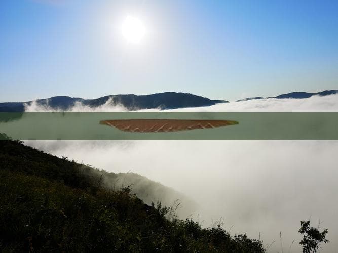 洛阳至厦门自驾：1700公里邂逅龙门石窟与鼓浪屿