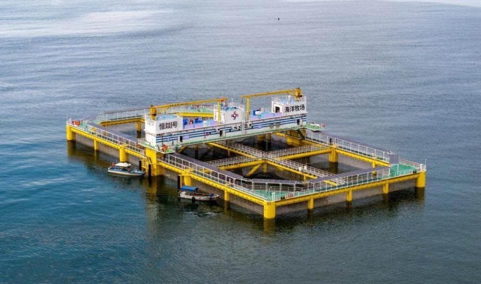 探访湛江现代化海洋牧场，看湛江"海鲜自由"的底气