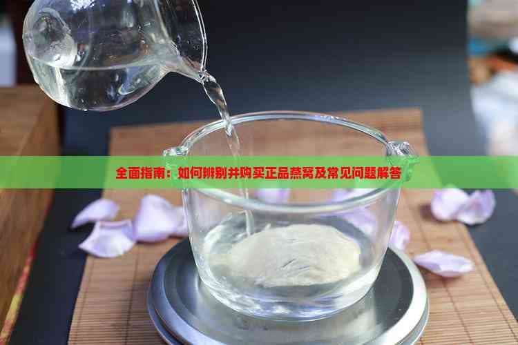 全面指南：如何辨别并购买正品燕窝及常见问题解答