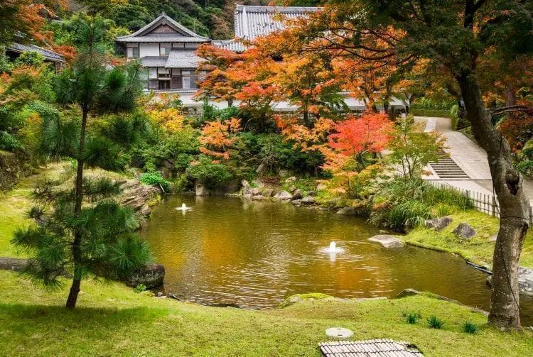 日本禅宗佛教和冥想