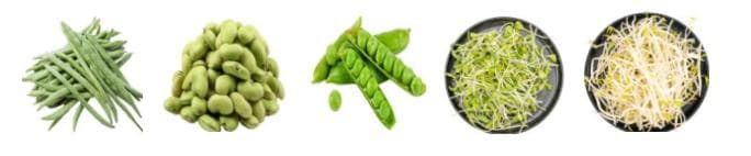 【健康食堂】食堂蔬菜如何选择和搭配