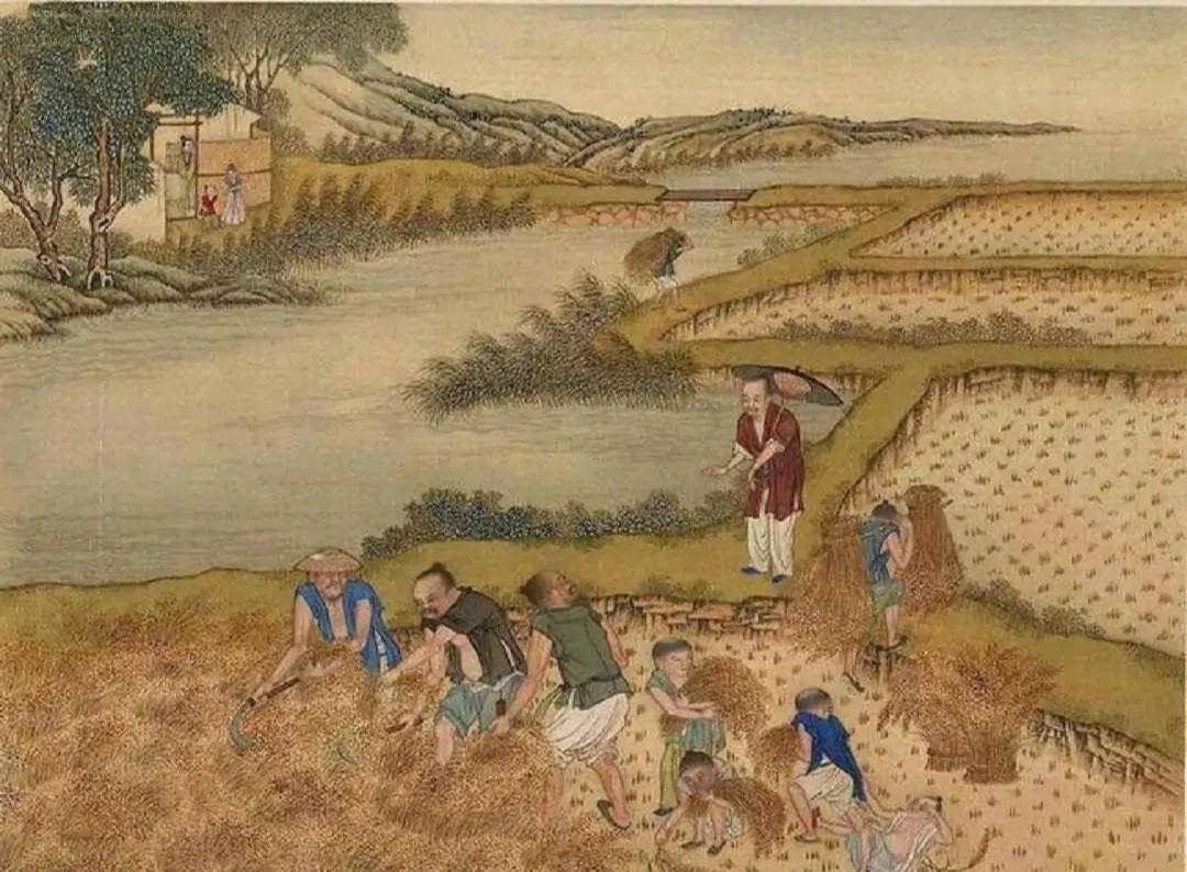 历史冷知识：王朝的灭亡，从失业开始！